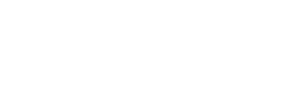 Zelda Group